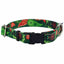Holiday Paisley Dog Collar – EarthStyle 5 8 inch 2 Hounds Design