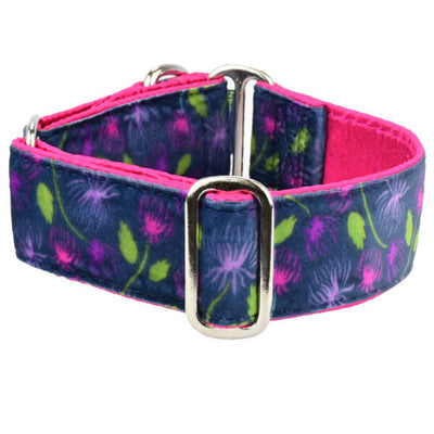 Midnight Dahlia Elite Velvet Martingale Dog Collar 1.5 inch wide 2 Hounds Design