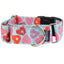 Sweet Sprinkles Heart Donut Buckle Martingale Dog Collar – EarthStyle 1.5 inch 2 Hounds Design