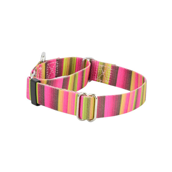 Bonnie Martingale Dog Collar – EarthStyle 2 Hounds Design
