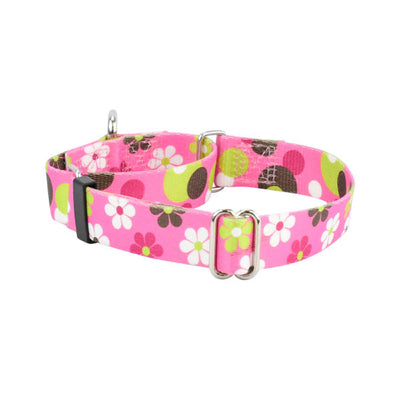 Daisy Dot Martingale Dog Collar – EarthStyle 2 Hounds Design