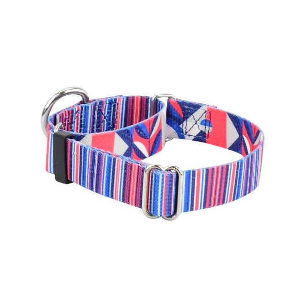 Rocky Martingale Dog Collar – EarthStyle Martingale Dog Collar 2 Hounds Design