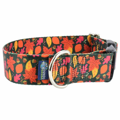 Falling Leaves Dog Collar – EarthStyle 1.5 inch 2 Hounds Design