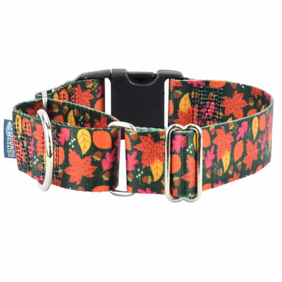 Falling Leaves Buckle Martingale Dog Collar – EarthStyle 1.5 inch 2 Hounds Design