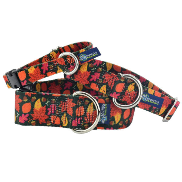 Falling Leaves Martingale Dog Collar – EarthStyle Martingale Dog Collar 2 Hounds Design