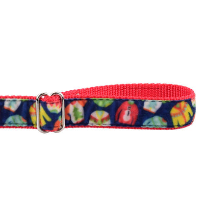 Cozy Sweaters Velvet Dog Leash (1″ Only) 2 Hounds Design