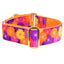 Gerbera Daisy Elite Velvet Martingale Dog Collar 1.5 inch wide 2 Hounds Design