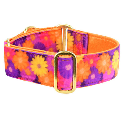 Gerbera Daisy Elite Velvet Martingale Dog Collar 1.5 inch wide 2 Hounds Design