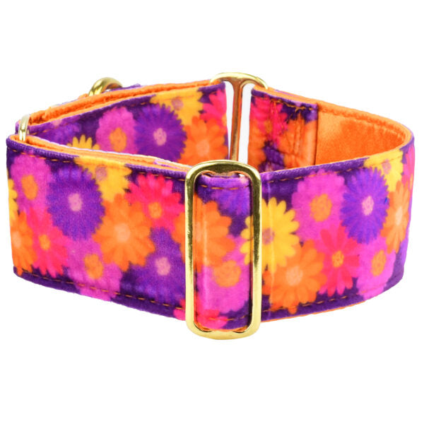Gerbera Daisy Elite Velvet Martingale Dog Collar 2 inch wide 2 Hounds Design