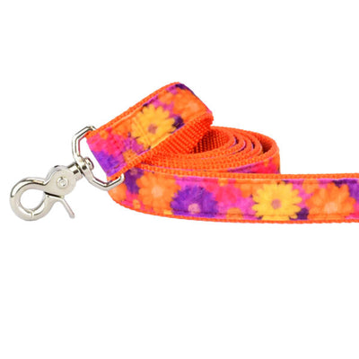 Gerbera Daisy Velvet Dog Leash (1″ Only) 2 Hounds Design