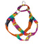 BFF (Best Friends Forever) Freedom No-Pull Dog Harness – EarthStyle 2 Hounds Design