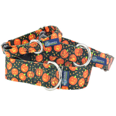 Jack O Lantern Buckle Martingale Dog Collar – EarthStyle Martingale Dog Collar 2 Hounds Design