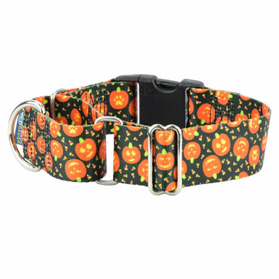 Jack O Lantern Buckle Martingale Dog Collar – EarthStyle 1.5 inch Martingale Dog Collar 2 Hounds Design