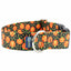 Jack O Lantern Dog Collar – EarthStyle 1.5 inch Dog Collar 2 Hounds Design