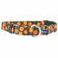 Jack O Lantern Buckle Martingale Dog Collar – EarthStyle 1 inch Martingale Dog Collar 2 Hounds Design