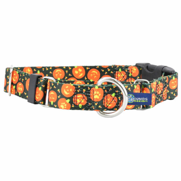 Jack O Lantern Buckle Martingale Dog Collar – EarthStyle 1 inch Martingale Dog Collar 2 Hounds Design