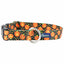 Jack O Lantern Dog Collar – EarthStyle 1 inch Dog Collar 2 Hounds Design
