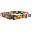 Jack O Lantern Dog Collar – EarthStyle 5 8 inch Dog Collar 2 Hounds Design