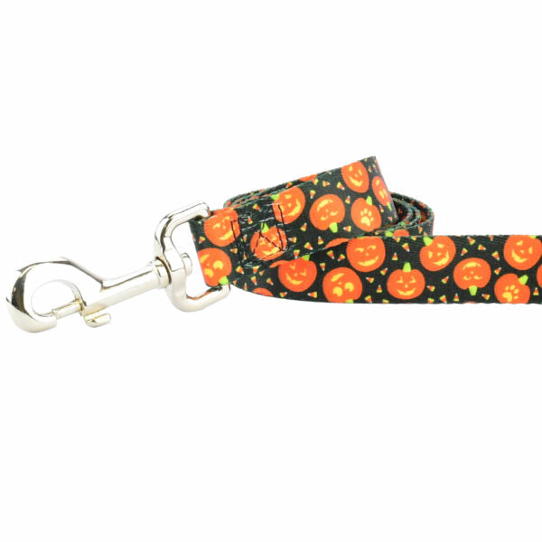 Jack O Lantern Dog Leash – EarthStyle 2 Hounds Design