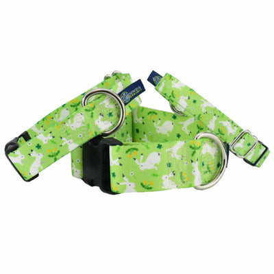 Lucky Dog Martingale Dog Collar – EarthStyle 2 Hounds Design