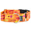 Orange Paisley Buckle Martingale Dog Collar – EarthStyle 1.5 inch 2 Hounds Design