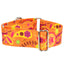 Orange Paisley Martingale Dog Collar – EarthStyle 1.5 inch 2 Hounds Design