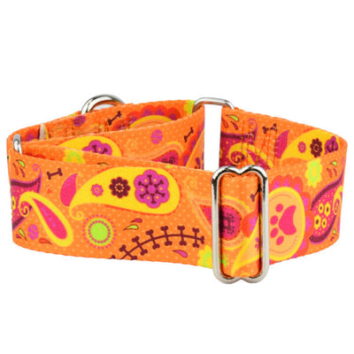 Orange Paisley Martingale Dog Collar – EarthStyle 1.5 inch 2 Hounds Design