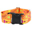 Orange Paisley Dog Collar – EarthStyle 1.5 inch 2 Hounds Design