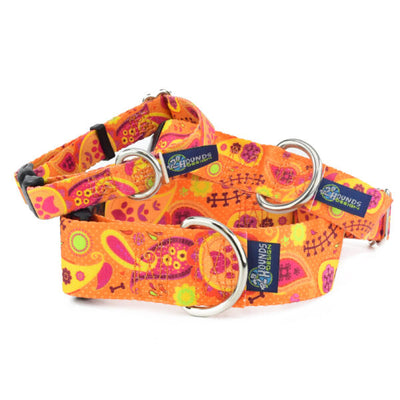 Orange Paisley Dog Collar – EarthStyle 2 Hounds Design