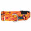 Orange Paisley Buckle Martingale Dog Collar – EarthStyle 1 inch 2 Hounds Design