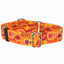 Orange Paisley Martingale Dog Collar – EarthStyle 1 inch 2 Hounds Design