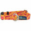 Orange Paisley Dog Collar – EarthStyle 5 8 inch 2 Hounds Design