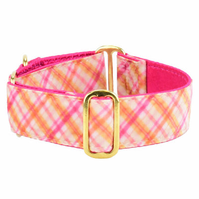 Pink Plaid Elite Velvet Martingale Dog Collar 1.5 inch wide 2 Hounds Design