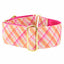 Pink Plaid Elite Velvet Martingale Dog Collar 2 inch wide 2 Hounds Design
