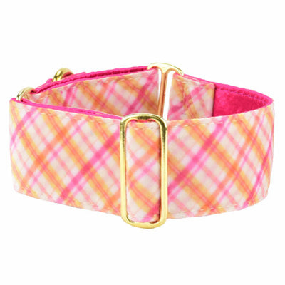 Pink Plaid Elite Velvet Martingale Dog Collar 2 inch wide 2 Hounds Design