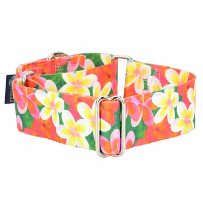 Aloha Martingale Dog Collar – EarthStyle 1.5 inch 2 Hounds Design