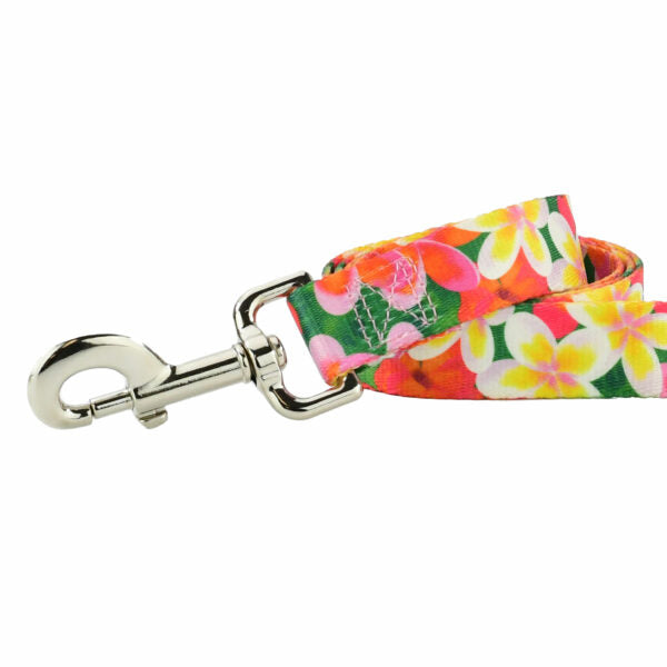 Aloha Dog Leash – EarthStyle 2 Hounds Design