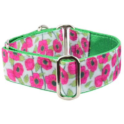 Bold Poppies Elite Velvet Martingale Dog Collar 1.5 inch wide 2 Hounds Design