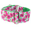 Bold Poppies Elite Velvet Martingale Dog Collar 2 inch wide 2 Hounds Design