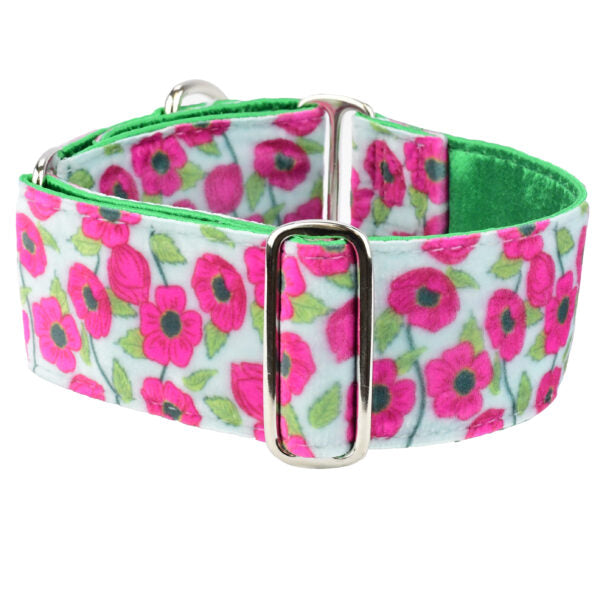 Bold Poppies Elite Velvet Martingale Dog Collar 2 inch wide 2 Hounds Design