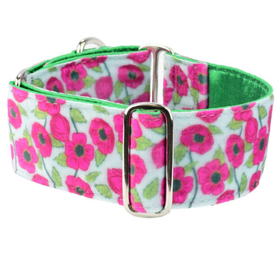 Bold Poppies Elite Velvet Buckle Martingale Dog Collar 2 Hounds Design