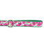 Bold Poppies Velvet Dog Leash 2 Hounds Design