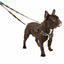 ROY G BIV Freedom No-Pull Dog Harness – EarthStyle 2 Hounds Design