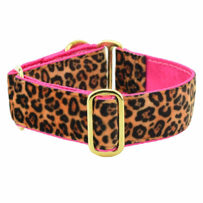 Soft Kitty Elite Velvet Martingale Dog Collar (Multiple Lining Color Options) 2 Hounds Design