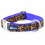 Soft Kitty Velvet Essential Martingale Dog Collar (Multiple Webbing Color Options) Martingale Dog Collar 2 Hounds Design