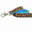 Soft Kitty Velvet Dog Leash (Multiple Webbing Color Options) 2 Hounds Design