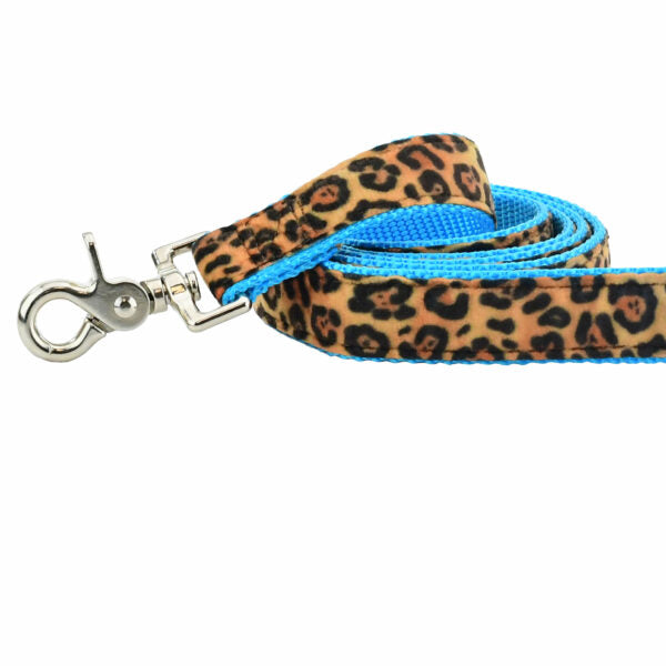 Soft Kitty Velvet Dog Leash (Multiple Webbing Color Options) 2 Hounds Design