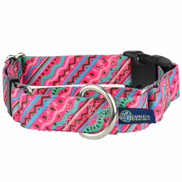 1980’s Buckle Martingale Dog Collar – EarthStyle 2 Hounds Design