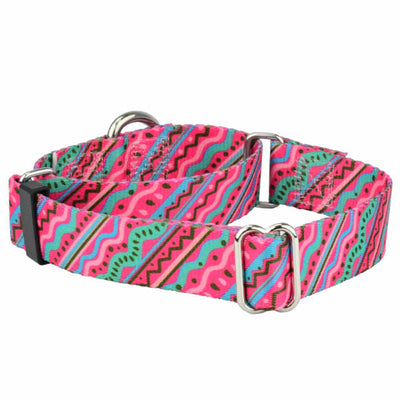 1980’s Martingale Dog Collar – EarthStyle 2 Hounds Design