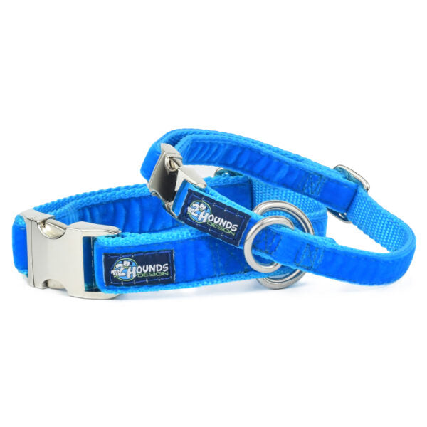Venetian Blue Velvet Essential Buckle Martingale Dog Collar Martingale Dog Collar 2 Hounds Design